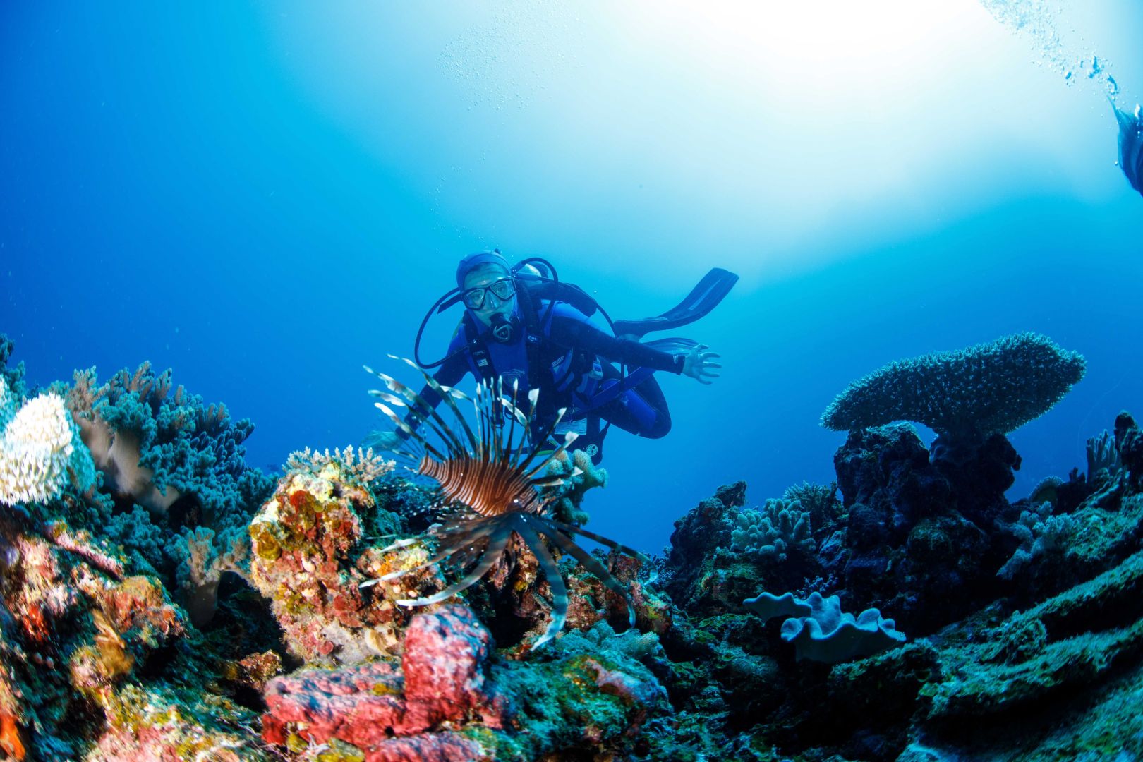 Dive & Rejuvenation Offer